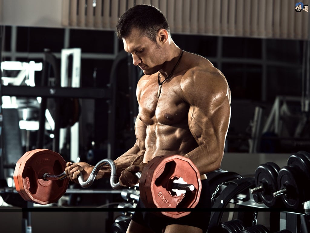 musclesbuilder