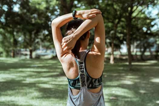 Back Workouts and Exercises