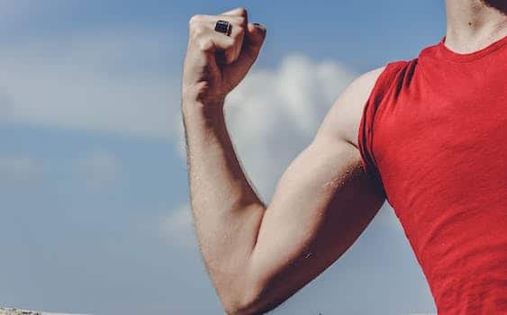 Build Muscle Workout Plan