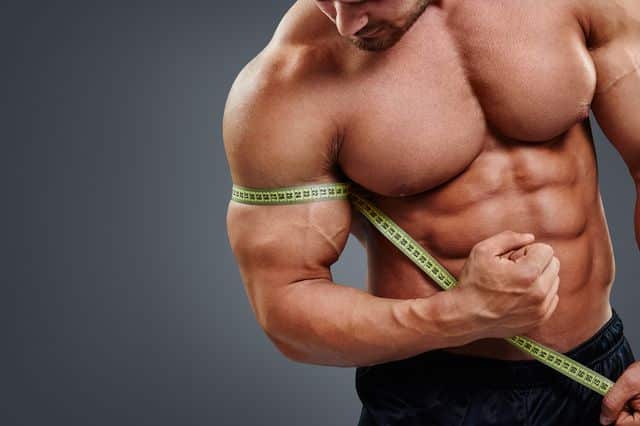 Build Muscle Between Shoulder Blades