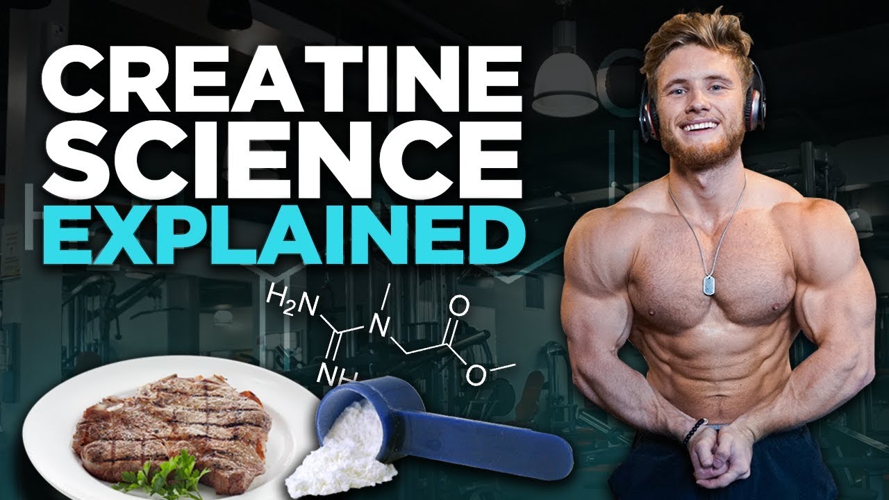 does creatine help build muscle 3