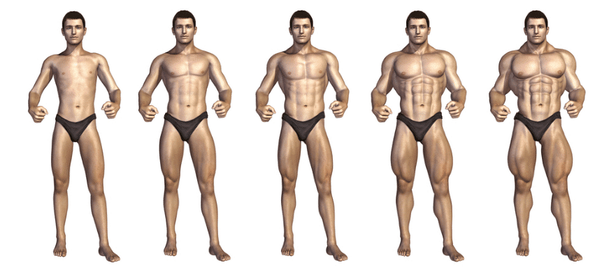 How Long Does It Take To Build Muscle