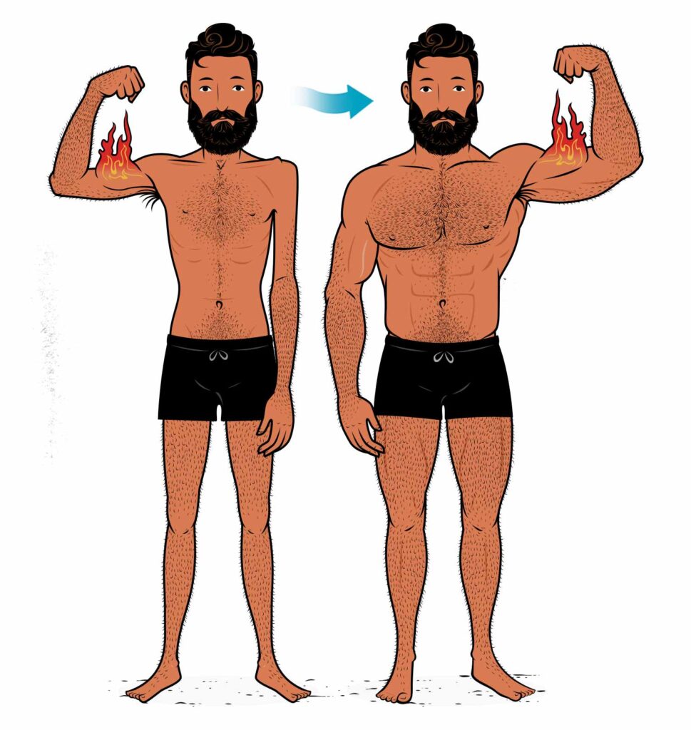 How Long Does It Take To Build Muscle After A Workout