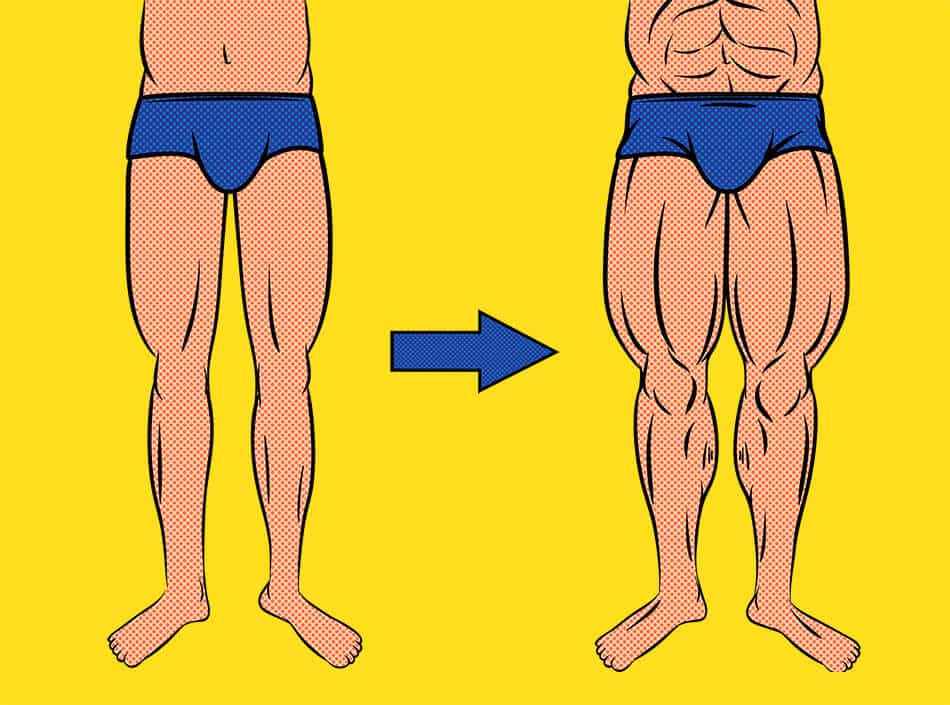how long does it take to build muscle in legs