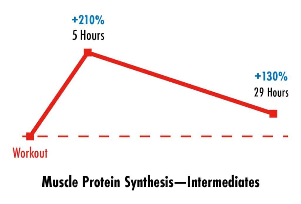 How Long Does It Take To Build Muscle After A Workout