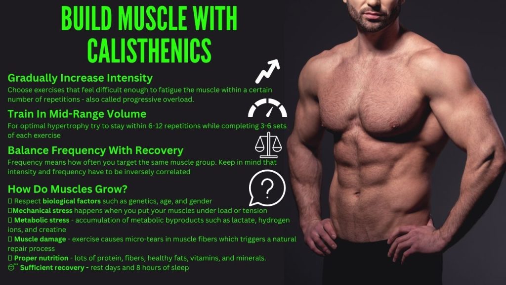 How Long Does It Take To Build Muscle With Calisthenics