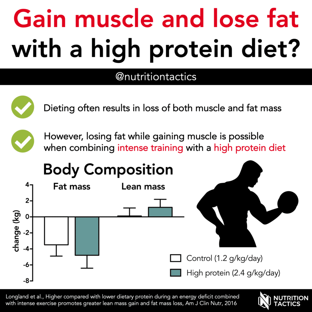 How Much Protein To Build Muscle And Lose Fat