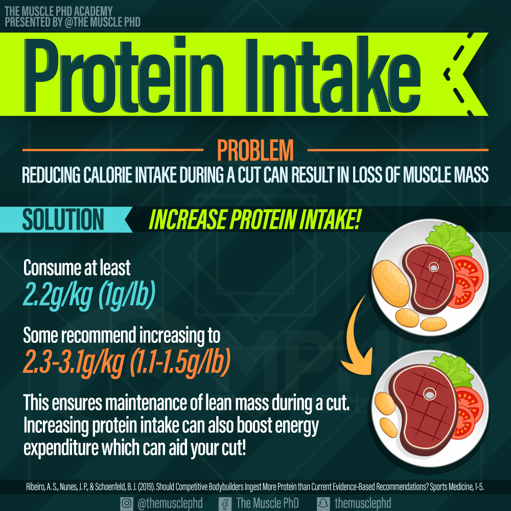 How Much Protein To Build Muscle And Lose Fat