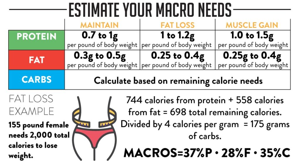 How Much Protein To Build Muscle Calculator