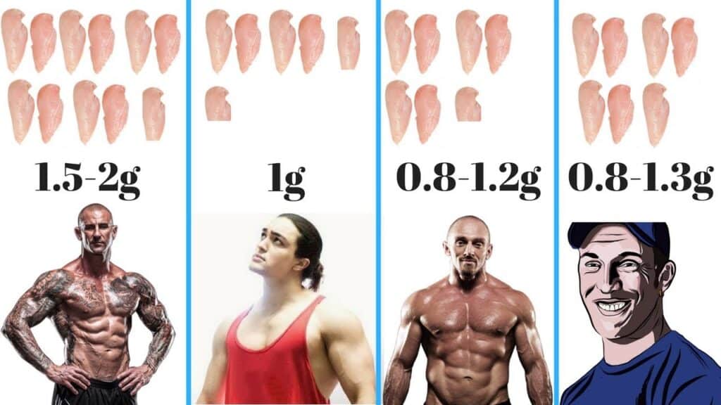 How Much Protein To Build Muscle Fast