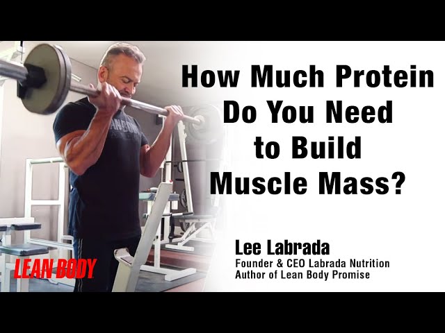 how much protein to build muscle fast