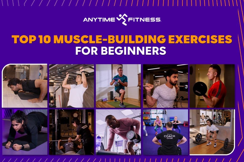 How To Build Muscle Beginner