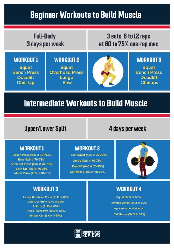 How To Build Muscle Beginner