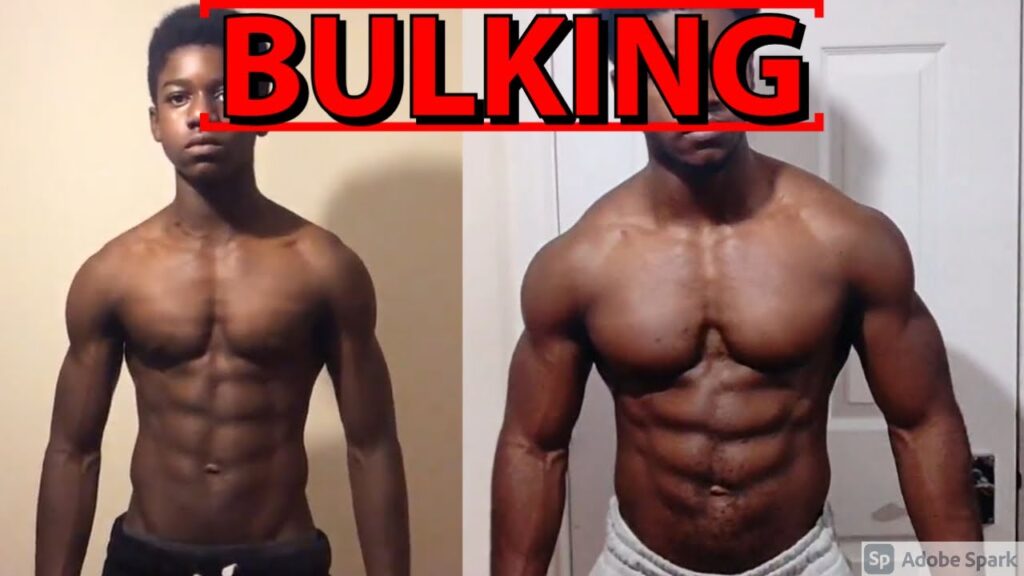 How To Build Muscle Bulk How To Build Muscle Bulk