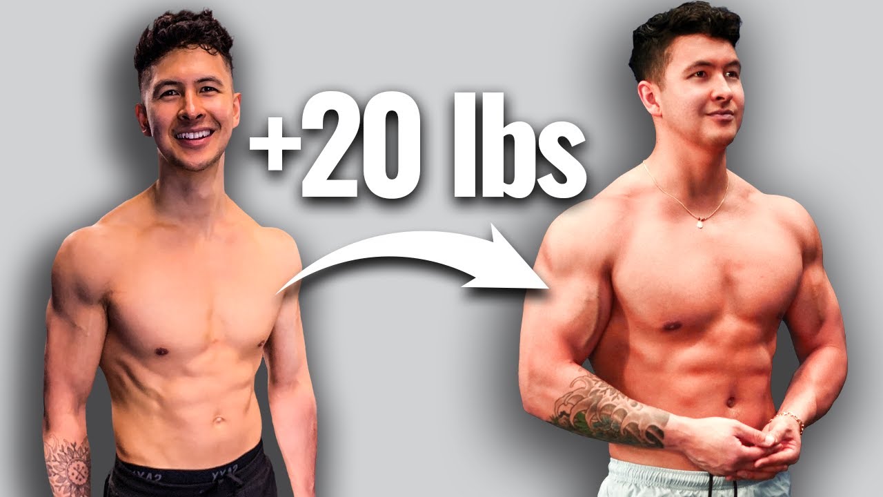 how to build muscle bulk 2