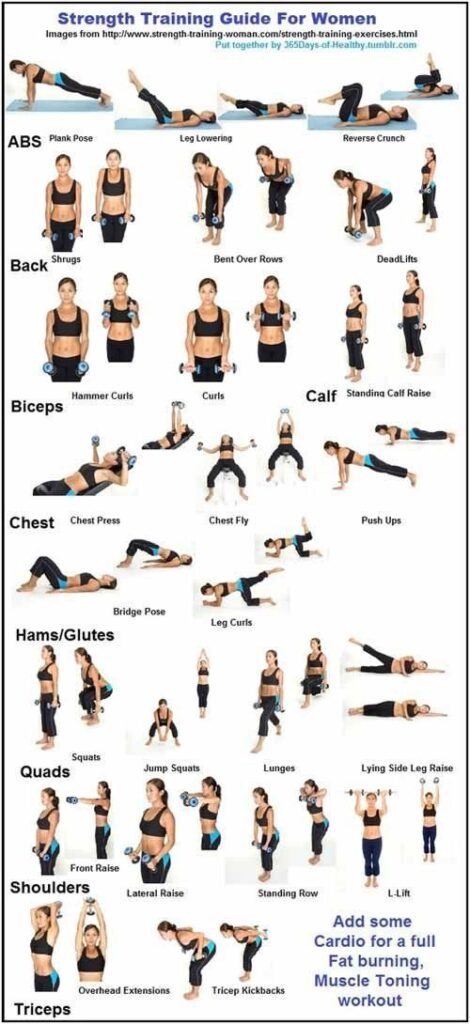 Muscle Building Workout Plan For Beginners Female