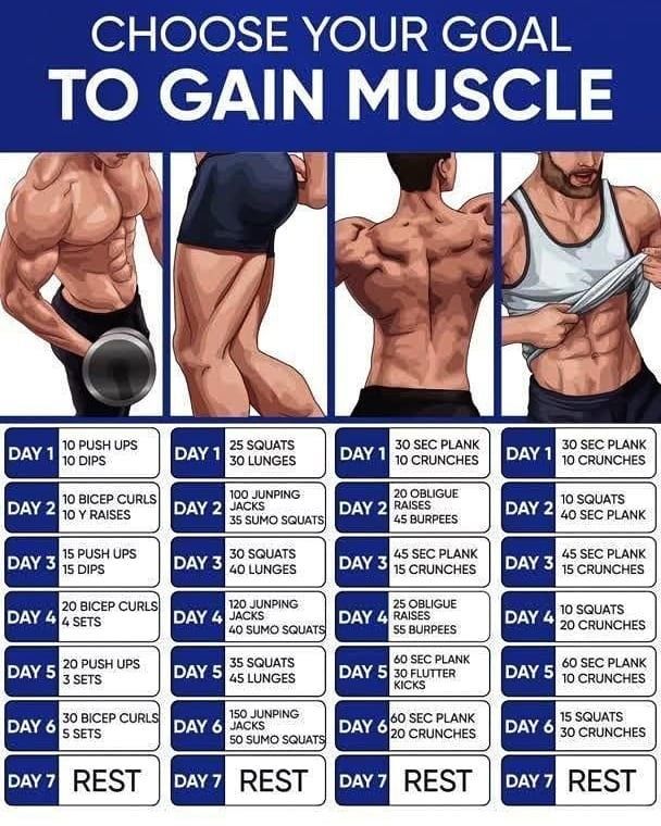 muscle gain 2
