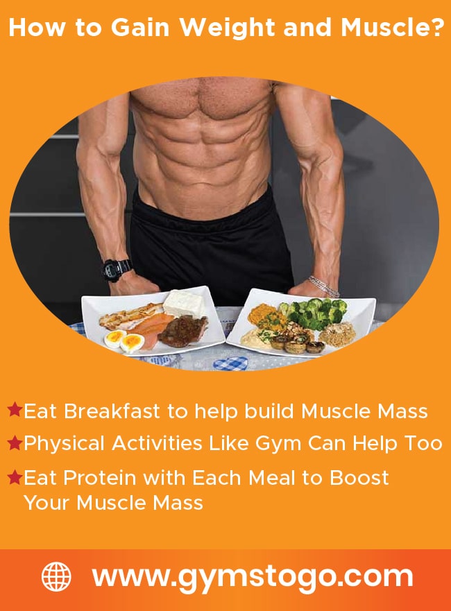 Muscle Gain And Weight Gain