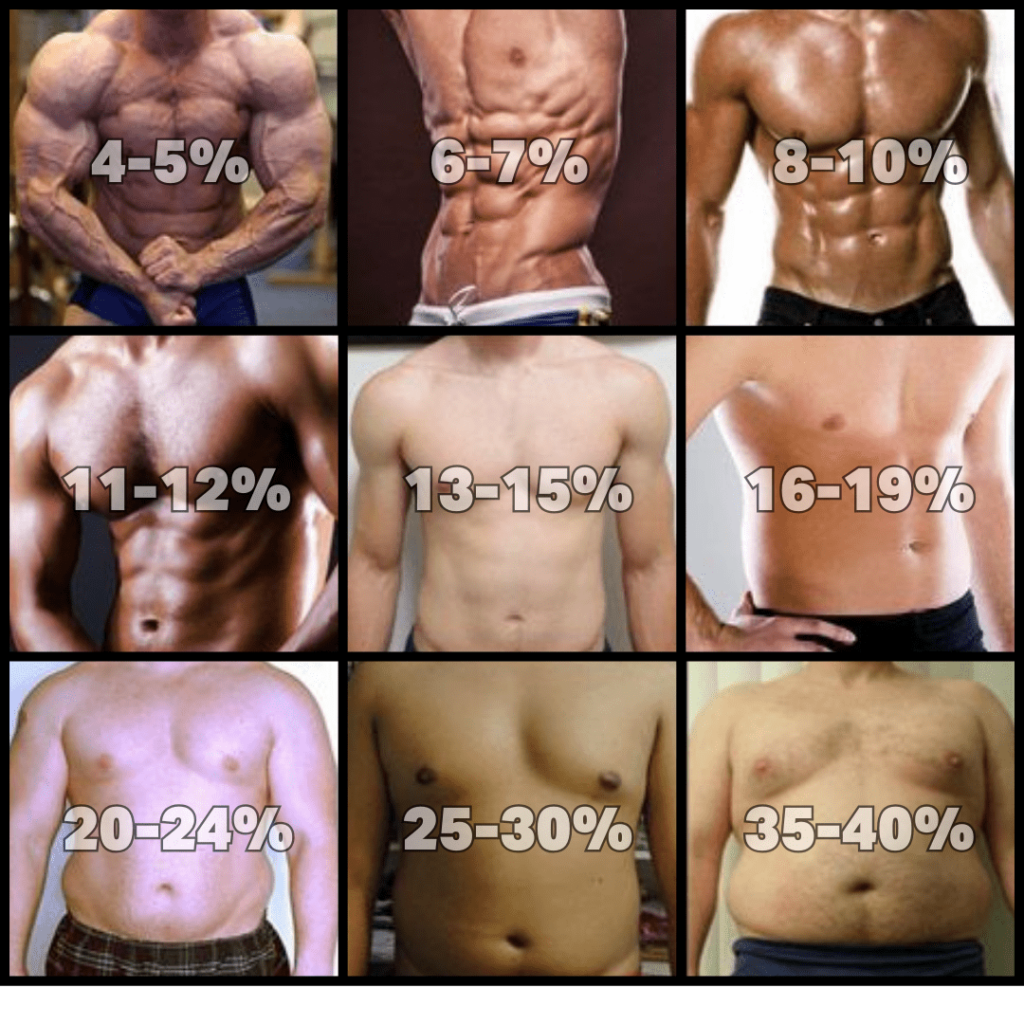 Muscle Gain Calculator
