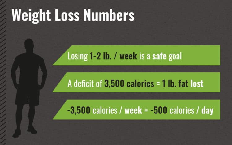 Muscle Gain Diet Calculator