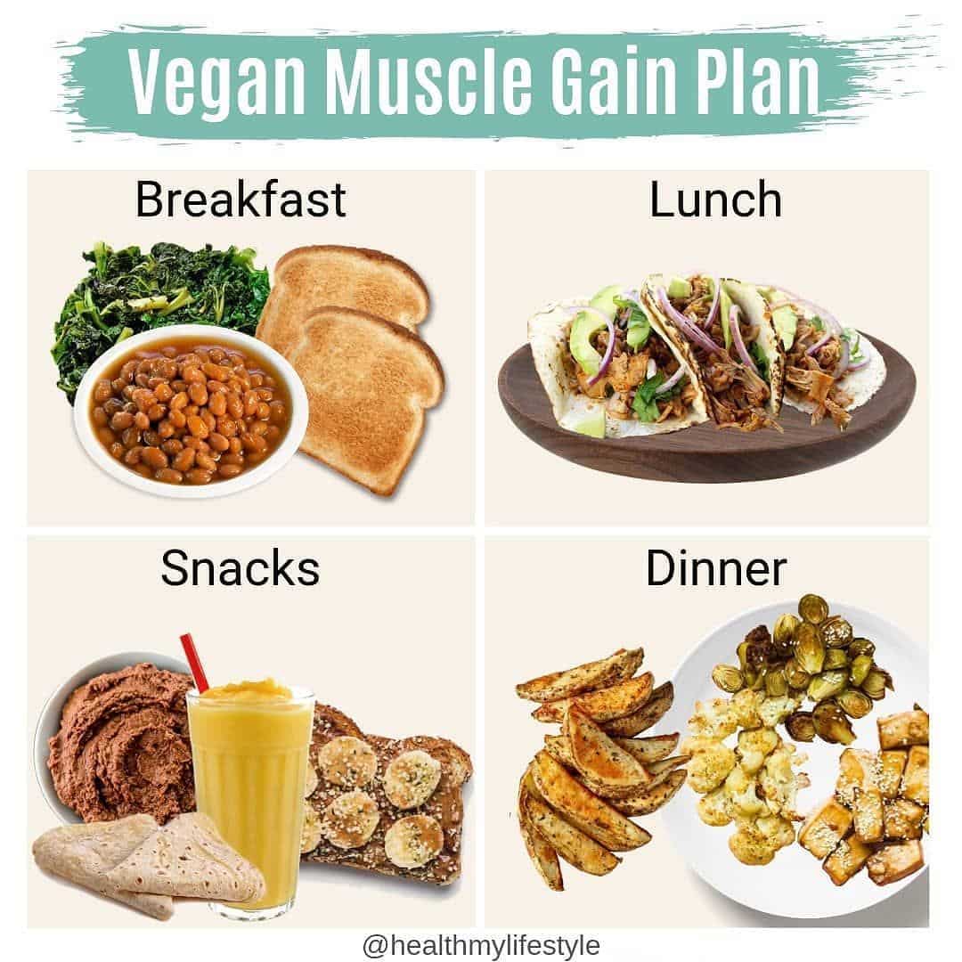 muscle gain diet for vegetarian 1