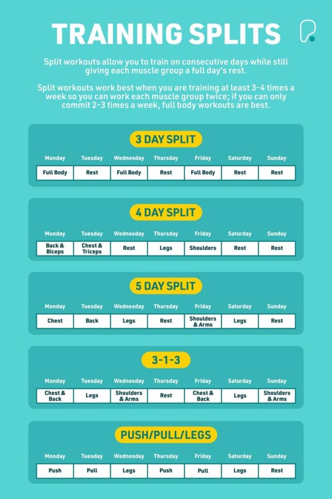 Workout Plan For Muscle Gain Workout Plan For Muscle Gain
