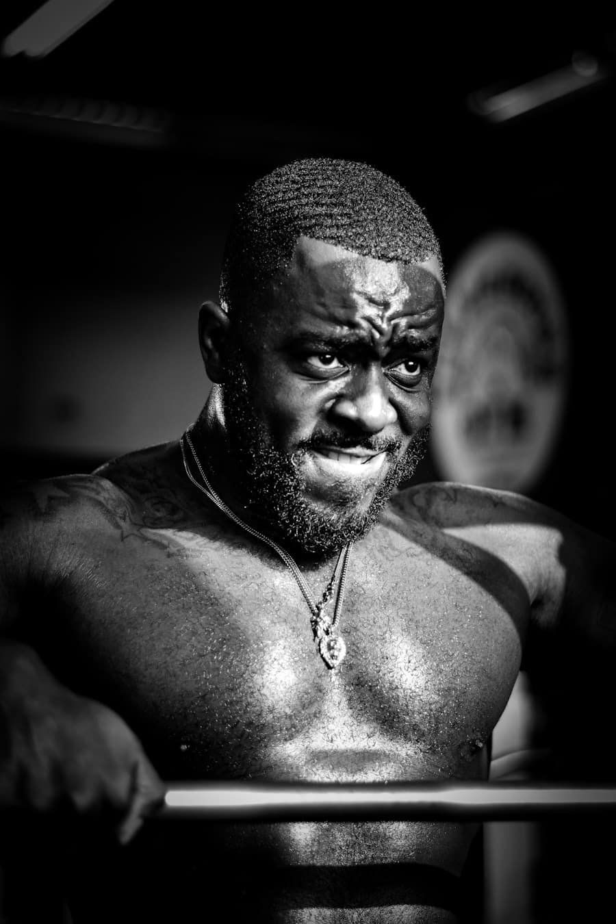 Masters of Muscle: Learning from Bodybuilding Legends 2 abcdhe 55