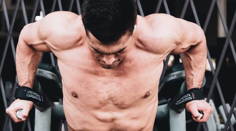 Photo "How Long Does It Take to See Noticeable Muscle Gains?"