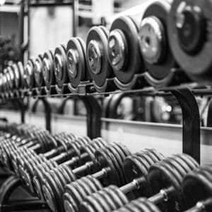 Photo "What Are the Differences Between Free Weights and Machines for Muscle Building?"