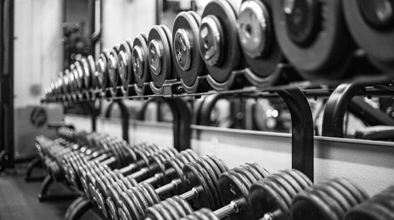 Photo "What Are the Differences Between Free Weights and Machines for Muscle Building?"