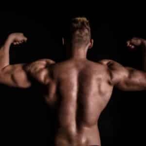 Photo "Muscle Builders Roadmap: from Beginner to Pro"