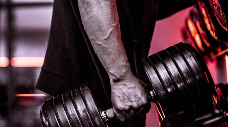 Photo "How Does Muscle Building Impact Cardiovascular Health and Endurance?"