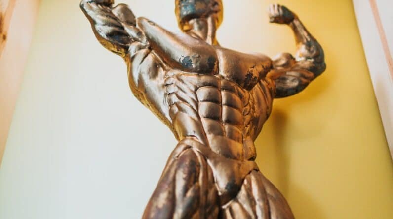 Photo "Unlocking the Secrets of Professional Bodybuilders"