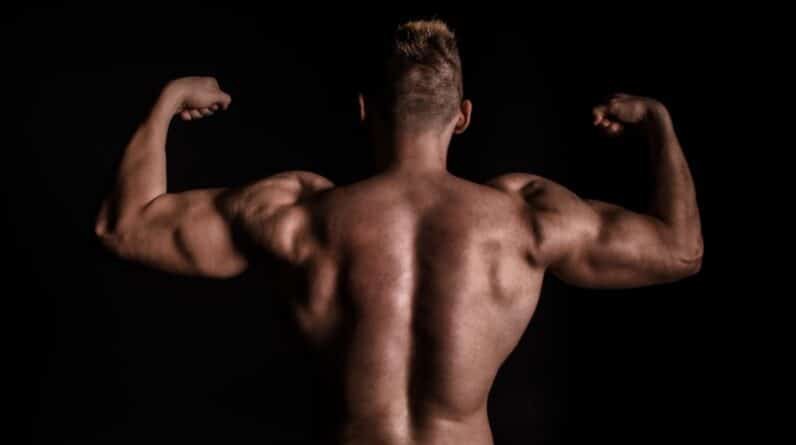 Photo "Muscle Building Myths Debunked: What Really Works"