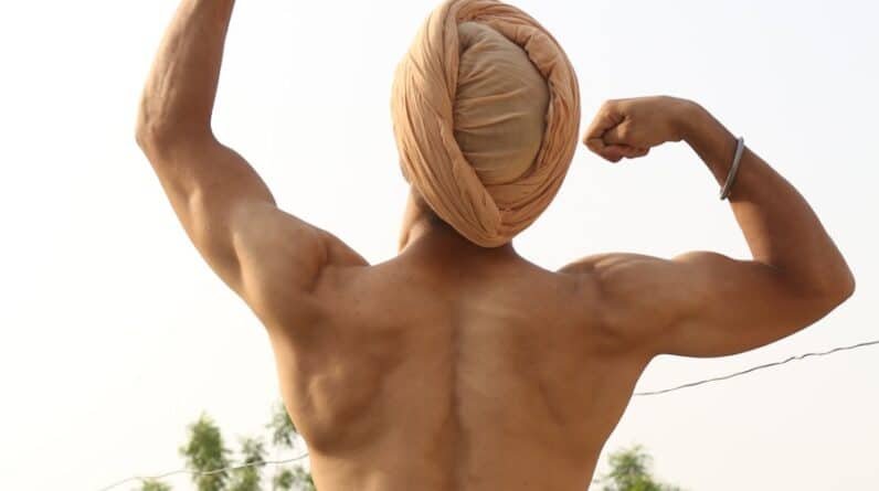 Photo "Muscle Builders Unveiled: Types, Myths, and Facts"