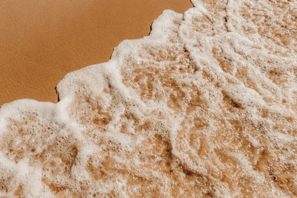 Photo Muscle Powder