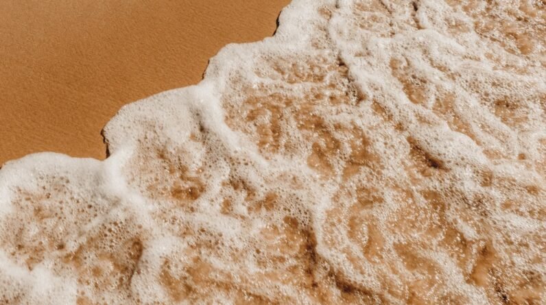 Photo Muscle Powder