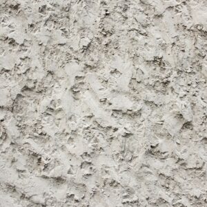 Photo Muscle Powder