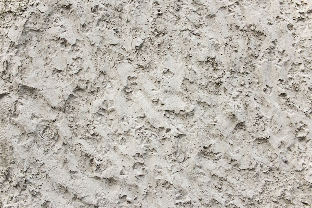 Photo Muscle Powder