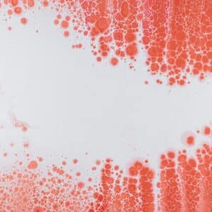 Photo Muscle Powder