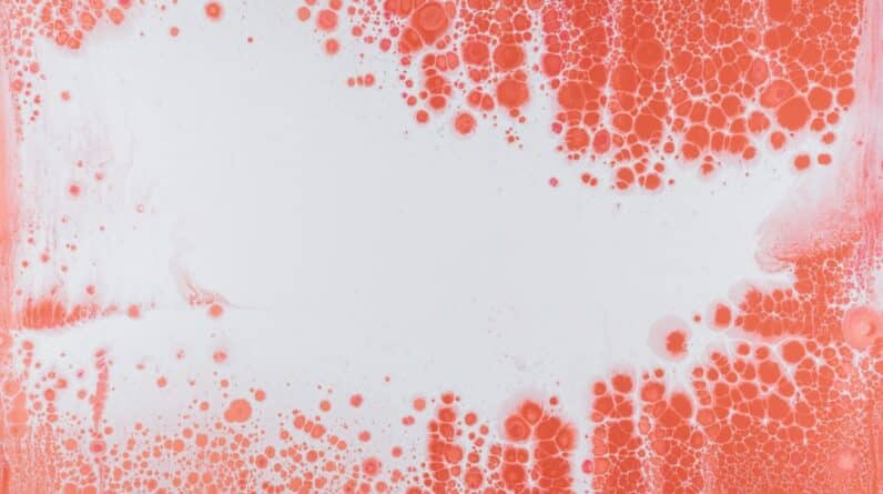 Photo Muscle Powder