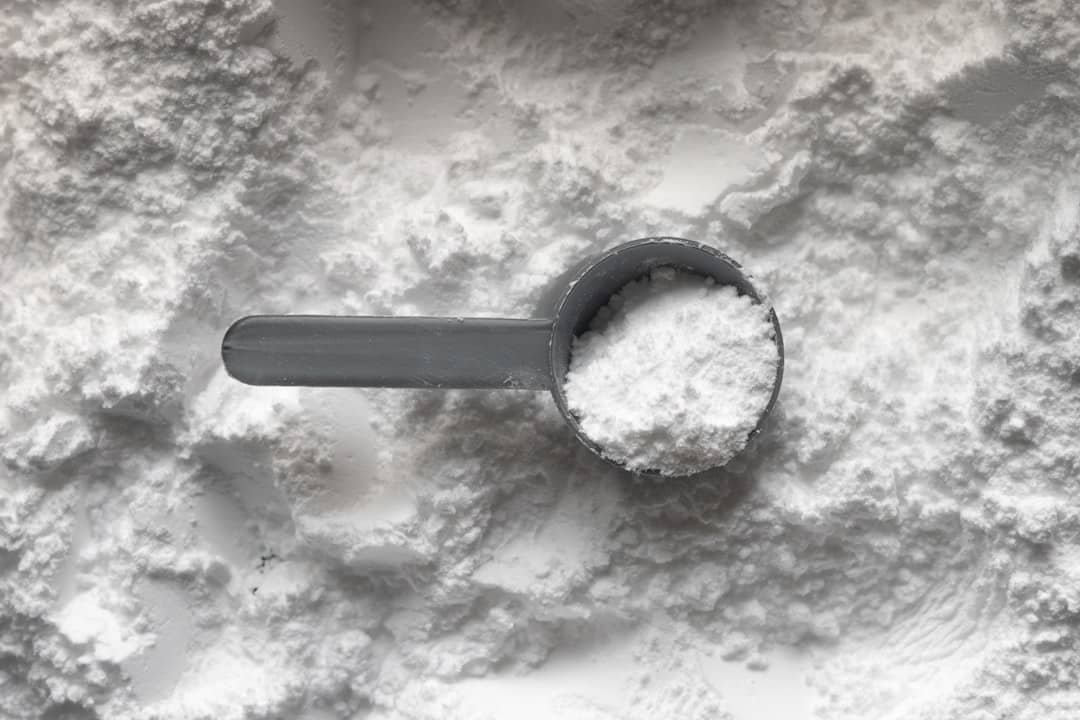 Photo Protein Powder