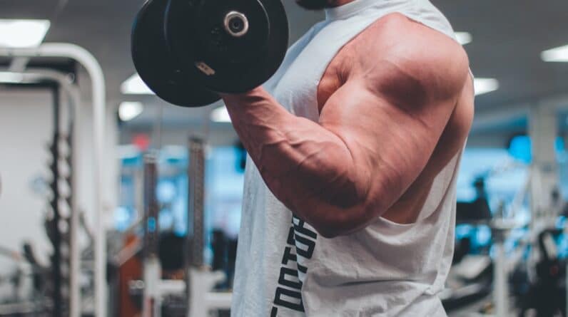 Photo Muscle Building Gym Sets