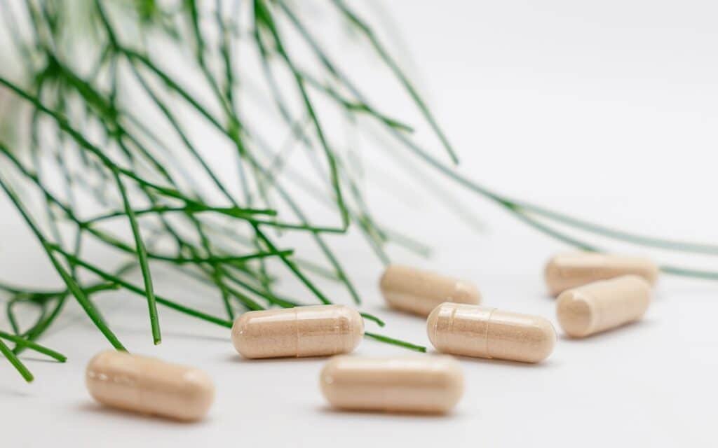 Best Supplements for Lean Muscle Gain 1 Photo Supplements