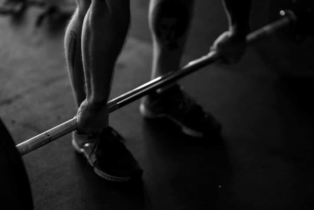 Photo Muscle Gain Pdf Guide