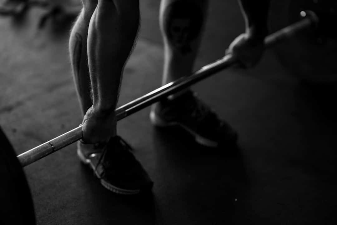 Photo Muscle Gain Pdf Guide