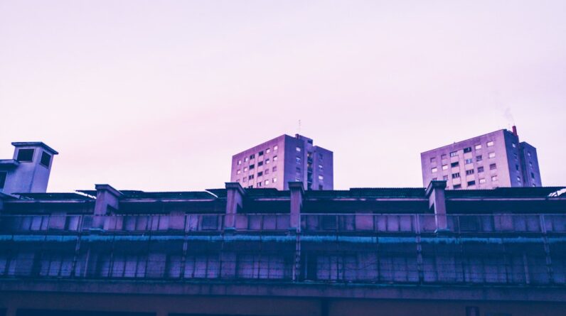 Photo BCAAs