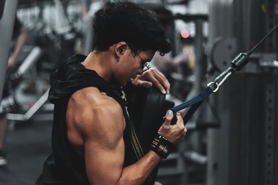 Muscle Gain