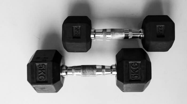 Photo Muscle Building Plan