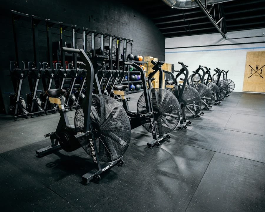 Best Home Gym Equipment for Muscle Gain 2 Home Gym Equipment